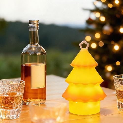 Lanterne de camping portable robuste pour la randonnée et la pêche
