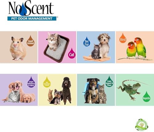 Image of No Scent Crate Kennel & Floor Cleaner for Dog Run, Cat Carrier, Hard Surface Pet Odor & Stain Management (128 Fl Oz / 3.8 Liter) Gallon