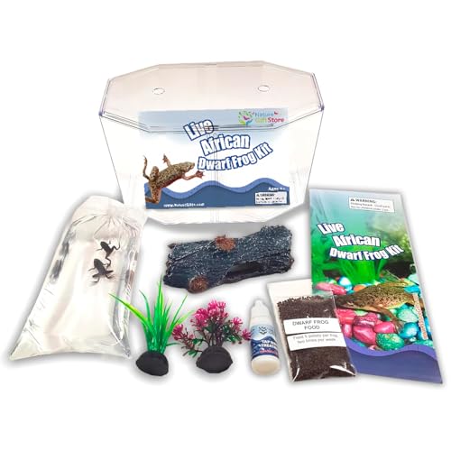 African Dwarf Frog Starter Kit- Includes Certificate for 2 Live Frogs -Small Aquarium, Food,...