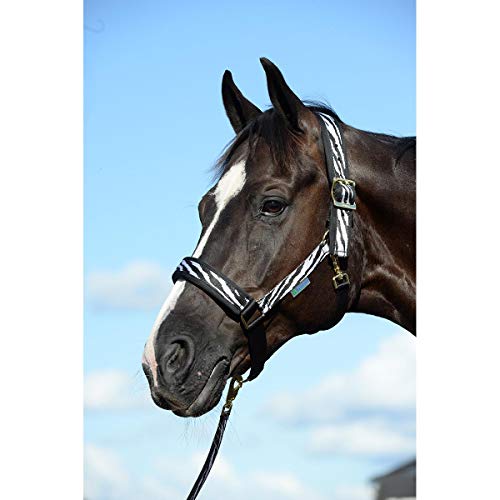Cabestro Bucas Comfort Zebra Black regulable: accesorio de equitación cómodo para caballos 3