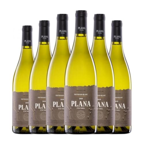 Sant Josep Plana d'en Fonoll Sauvignon Blanca Catalunya 75 cl Vino blanco (Caja de 6 Botellas de 75 cl)