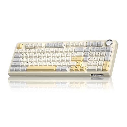 SOLAKAKA KI99 Pro