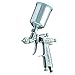 Iwata LPH80-124G Gun/Cup(PCG2D-1)