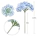 Tifuly Hydrangea Artificial Flowers -12 pcs Realistic Fake Hydrangea Silk Flowers with Stems Faux Hydrangea Flowers Heads for Office Home Party Wedding Centerpiece DIY Floral Decor(Sky Blue)