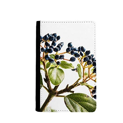Étui portefeuille de voyage pour passeport imprimé végétal blanc 9,4x14,7 cm