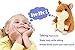 Qwifyu Talking Hamster, Interactive Stuffed Plush Animal Talking Toy Cute Sound Effects with Repeats Your Said Voice, Best Buddy for Kids Gift Age 3+ (Brown)
