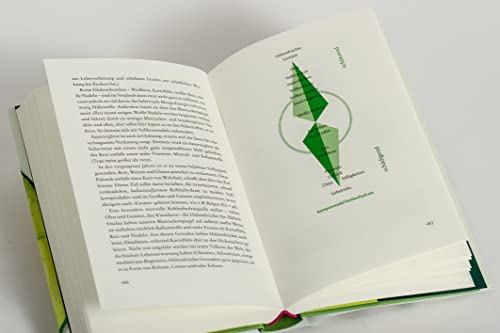 Ernährungskompass: Fazit aller wissenschaftlichen Studien zum Thema Ernährung – Mit den 12 wichtigsten Regeln der gesunden Ernährung - 8