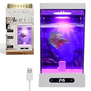 水槽 - Amazon.co.jp