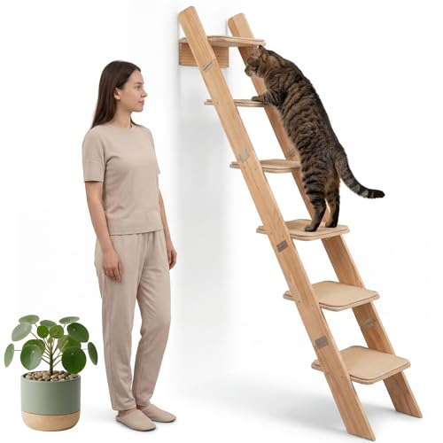 65 Tall 6-Level Cat Ladder for Window & wall | Fits Cats up to 20 lbs |Senior & Less Agile cat Stairs for Window with 55 Gentle Incline | Requires 43 Floor Clearance | No-Drill Glass Installation