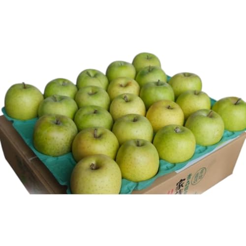 りんご [4月クール便発送] 平均糖度13度以上 訳あり品 家庭用 CA貯蔵 王林 約 5kg [ 青森りんご ] フルーツ リンゴ 青森県 家庭用 ジューシー