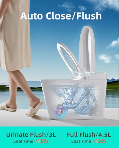 Luxury Smart Toilet with Bidet and Dryer