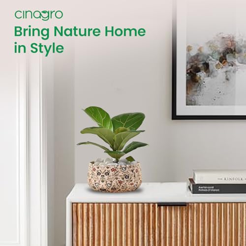 Image of CINAGRO Metal Flower Vase Planter Pot, Pots for Plants, Plant Pots for Home Decoration, Succulent Pot, Indoor Planter Garden Decor Style: Earthly Elegance