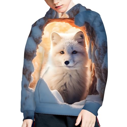 Image of GLUDEAR Teen Boys Girls Novelty Animal Galaxy Hoodies Sweatshirts Pullover