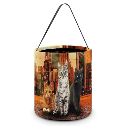 nEB LfBoXPbg 킢 L Օ ̔ LfB َq Rei 񂰑 y p[eB[LOi v[g OWp