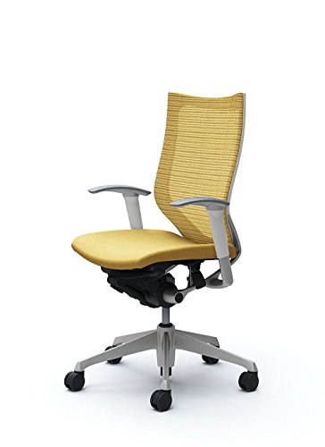 オカムラ 岡村製作所 デスクチェア オフィスチェア バロン ハイバック 可動肘 座クッション ベージュ CP85DW-FEF7