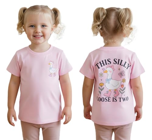 Canis 2nd Birthday Shirt Toddler Baby Girls Short Sleeve Second Birthday T-Shirt Two Years Old Birthday Gift (Pink Silly Goose 2-3 Years)