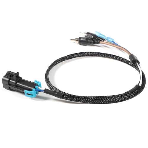 RZR Pro Series Add a Subwoofer for Ride Command RCA Output & Remo...