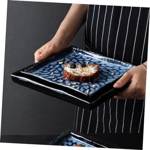 Plato cuadrado de cerámica para sushi y pasta miniatura 4