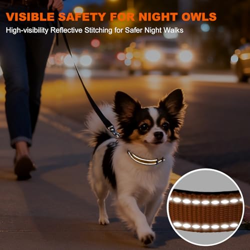 Taglory Hundehalsband, Weich Gepolstertes Neopren Nylon Hunde Halsband für Welpen, Verstellbare und Reflektierend für das Training, Braun