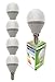 Produktbild Trango 5er Pack E14035GD*5 LED Globe Birne 3-Stufen dimmbar - 5 Watt - 400 Lumen 3000K Warmweiß - Ersatz für 40W Glühbirne - Kugel LED Lampe Leuchtmittel mit E14 Fassung Abstrahlwinkel 170°