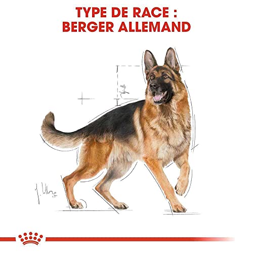 ROYAL CANIN 11 KG German Shepherd Adult hondenvoer