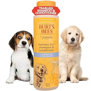 Burt’s Bees for Pets Tearless Puppy 2-in-1 Shampoo and Conditioner with Buttermilk and Linseed Oil, 95% Natural Origin Formulas, Shampoo for Puppies – Gentle Puppy Shampoo Tear Free, 16 oz