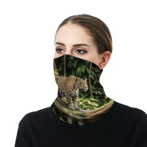 Neck Gaiter Face Mask Men Women, Tropical Palm Tree Face Mask Scart Cover for Dust Wind Sun Protection4