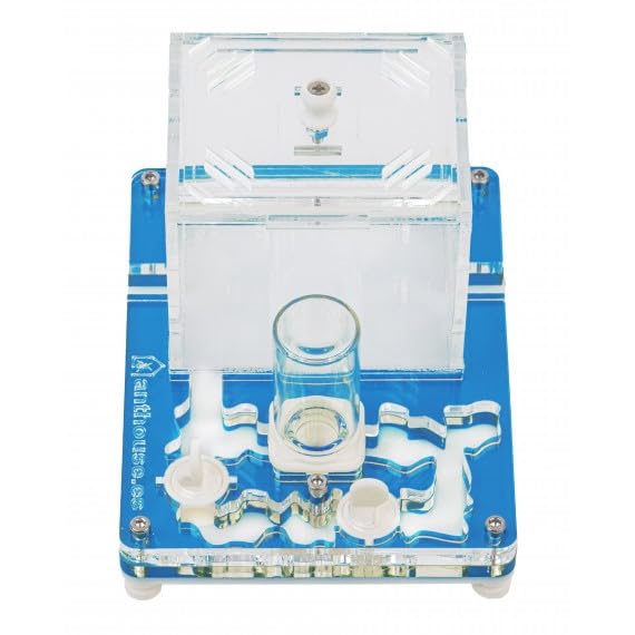 Kit Educativo de Hormigas Anthouse con Reina Incluida – Hormiguero Acrílico Profesional 10 x 12x 1,3 cm para Niños y Principiantes | Granja de Hormigas para Observación y Aprendizaje (Azul)