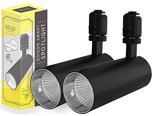 エジソンバルブLEDスマート スポットライト ダクトレール用  2個セット LED一体型 調光 調色 スマート電球 DST-SL01BK