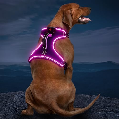 Hundegeschirr Leuchtend Wiederaufladbares Leuchtgeschirr für Hunde Led Beleuchtetes Hundegeschirr für Klein Mittelgroße Große Hunde
