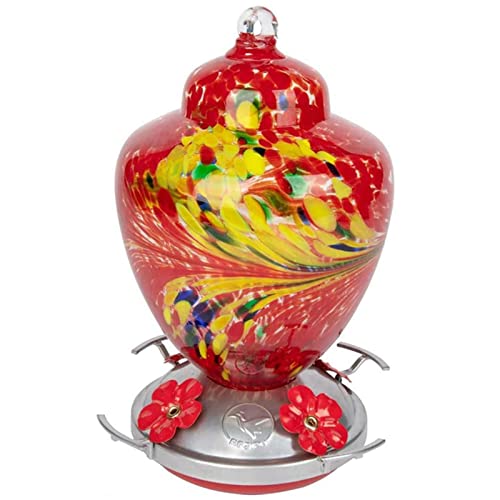 Hummingbird Feeder with Perch - Hand Blown Glass - 38 Fluid Ounces Hummingbird Nectar Capacity Include Hanging Wires and Moat Hook (Red-fire)