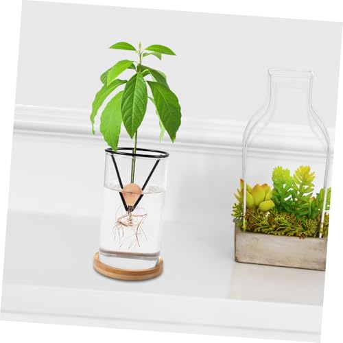 Soporte de mesa GALPADA para frutas: base triangular resistente que evita vuelcos, 4 uds 8