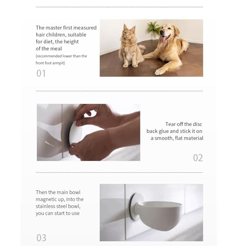 Missmisq Wandmagnetischer Hundenapf Edelstahl Haustier Trinknapf Futter- Und Wasserspender Für Katze Und Hund Wandmontage