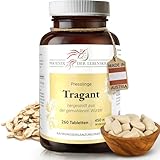 Phoenix der Lebenskraft