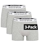 Giesswein