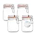 Produktbild Flaschenbauer - 4-teiliges Set Drahtbügel-Vorratsgläser 900ml, geeignet als Einmach- und Fermentierglas, zur Aufbewahrung, zum Befüllen, inklusive Etiketten, Gläser mit Drahtbügel, Rote Dichtungsringe