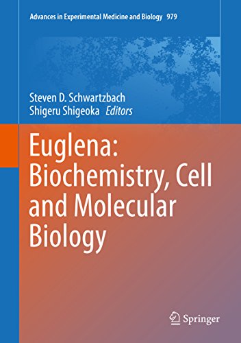 Euglena: Biochemistry, Cell and Molecular Biology (Advances in Experimental Medicine and Biology Book 979) (English Edition)
