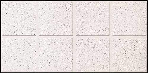 Armstrong ACOUSTICAL Ceiling Tile 1760C FINE FISSURED Second Look I HUMIGUARD, 24X48X3/4 in, 10 PER CASE