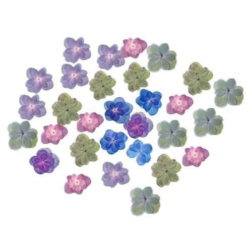 30 flores secas prensadas para manualidades DIY miniatura 1