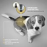 Peticare Spezial Wund-Puder für Hunde, Katzen | bei Wunden Aller Art | 100% hochwertiges Zeolith-Pulver | hohe Saugfähigkeit | einzigartiges PRS® System für Lange Wirkung - 70 g - petDog Health 2106