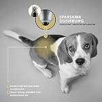 Spezial Wund-Puder für Hunde, Katzen | bei Wunden Aller Art | 100% hochwertiges Zeolith-Pulver | hohe Saugfähigkeit | einzigartiges PRS® System für Lange Wirkung - 70 g - petDog Health 2106 – Bild 5