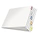 Index Dividers