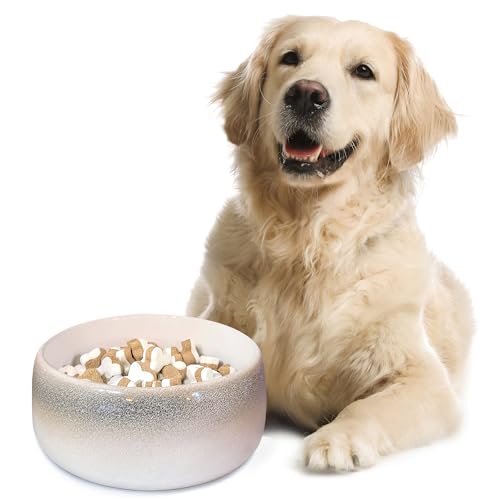 Byer of Maine Pet Bowl – High-Fired Porcelain Stoneware, Food-Grade Safe, Dishwasher Safe, Non-Slip Dog Bowl for Large Breeds in Biscuit