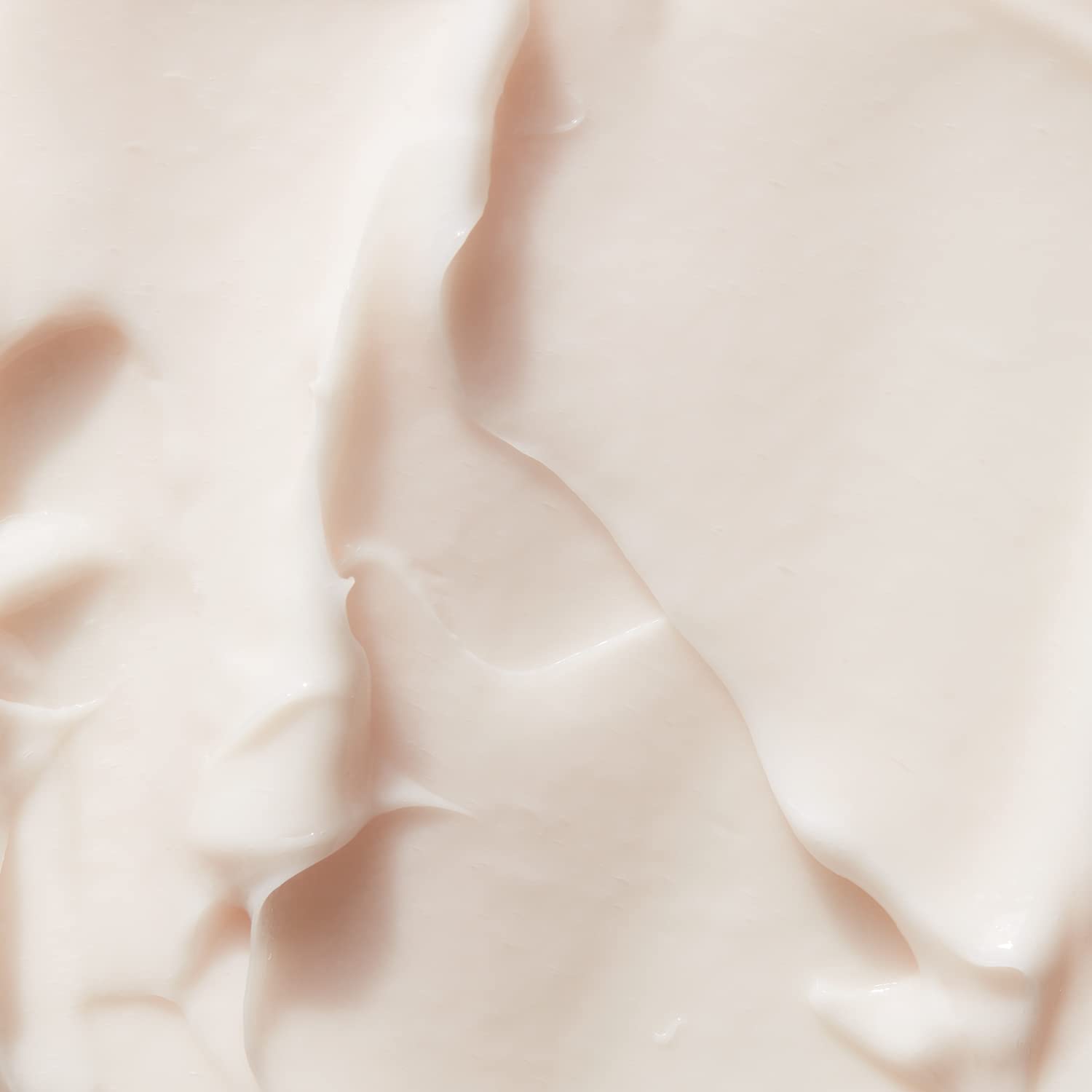 Evolve Organic Beauty - Natural Hydrate + Protect Facial Cream | Small-Batch, Vegan Clean Beauty (2 oz | 60 ml) Packaging May Vary - Image 6