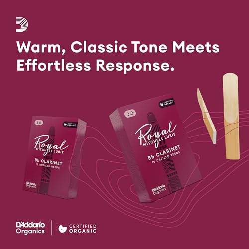 ProMark Classic Forward 5B Raw Hickory parfaites pour vos sessions de studio intensives - 4