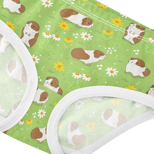 Girls' Underwear Guinea Pig Cotton Stretch Comfort Toddler Panties4