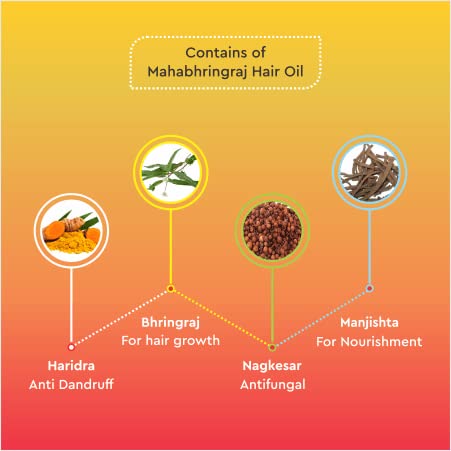 Baidyanath Mahabhringraj Tel I For Hair Growth I Anti Dandruff I 100ml Pack of 2 - Image 6
