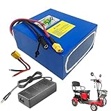 WILLQR 24 Volts Ebike Lithium Battery 24V 7.5AH 10AH 12.5AH 15AH 20AH 25AH Replacement Inside PVC Battery with Charger and XT60 Port for 0-600W Motor Kits,24v10ah