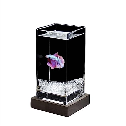 Aquarium de bureau en verre épais premium et base en bois