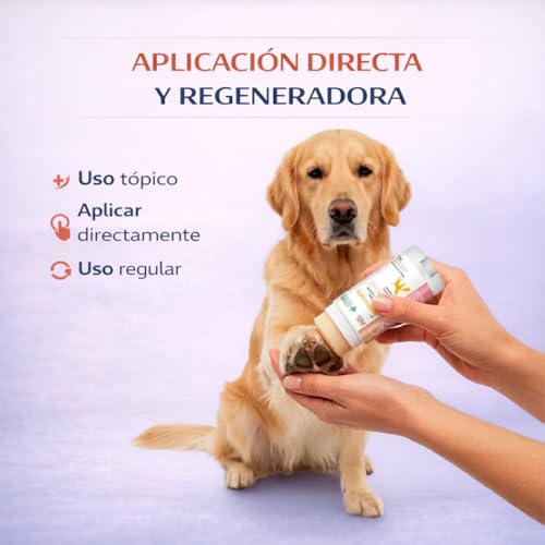Reviews de El perro consentido los 5 más buscados. 12 Imagen adicional